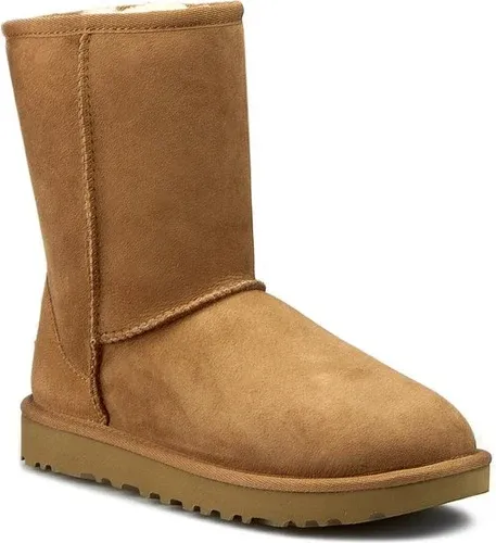 Pantofi Ugg (8460671)