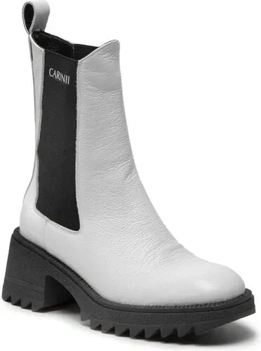 Botine Carinii (14906860)