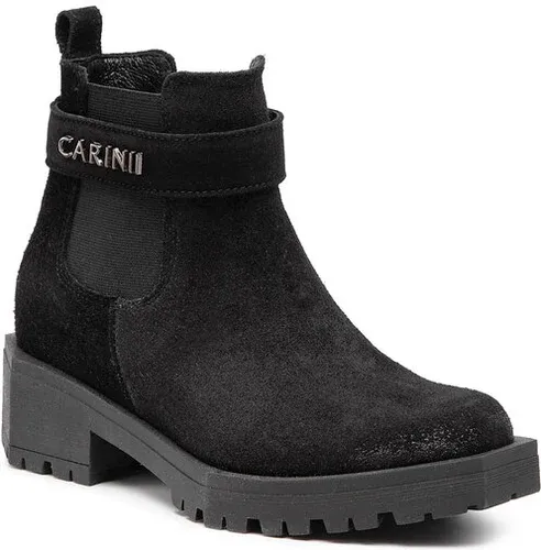 Botine Carinii (15116787)