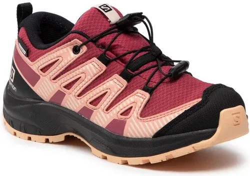 Pantofi Salomon (15933164)