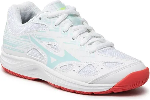 Pantofi Mizuno (16139764)