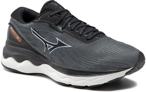 Pantofi Mizuno (17484375)