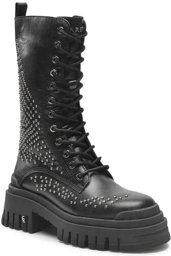 Botine Carinii (17661966)